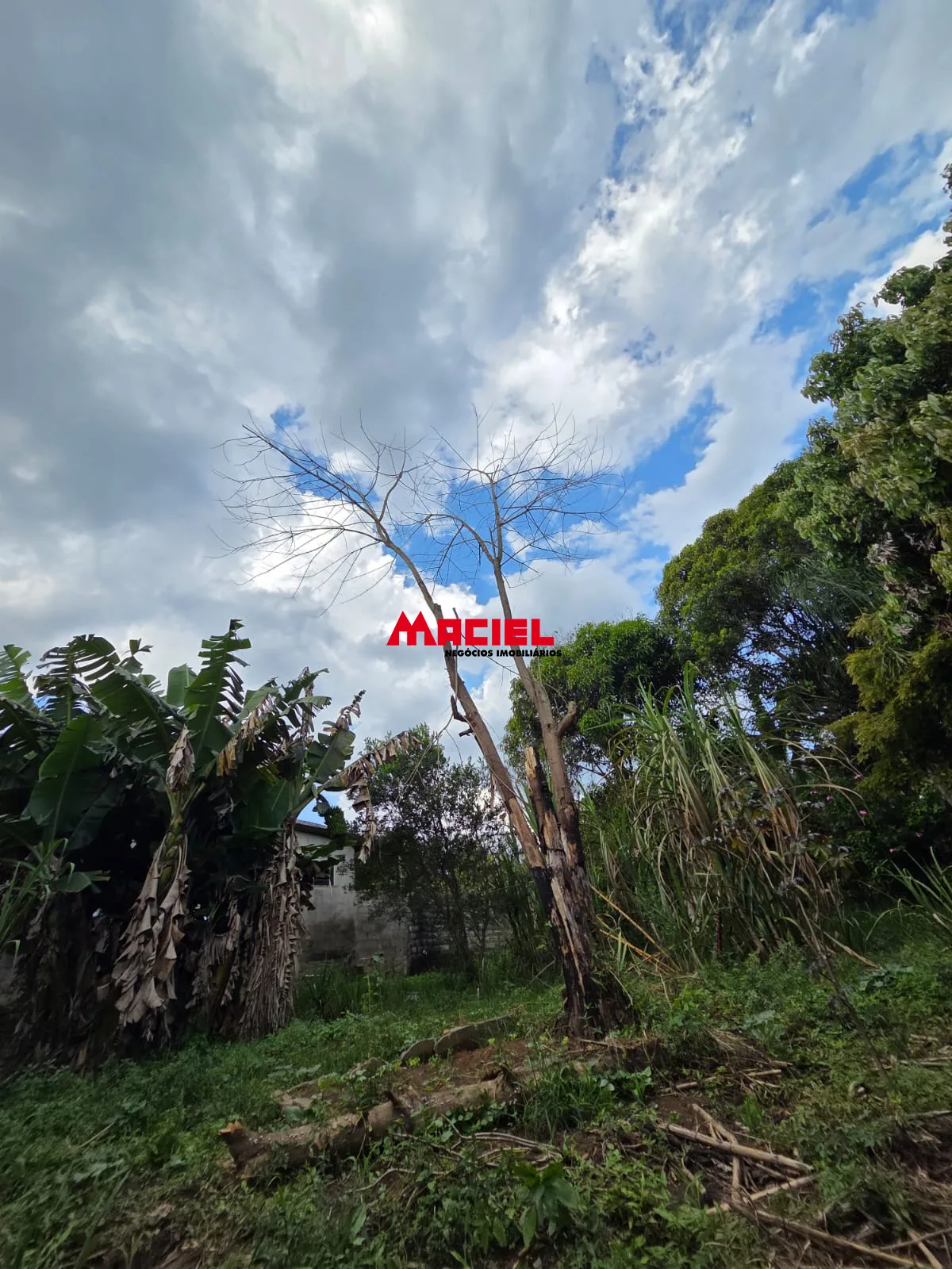 Comprar Casa / Padr&atilde;o em S&atilde;o Jos&eacute; dos Campos R$ 800.000,00 - Foto 32