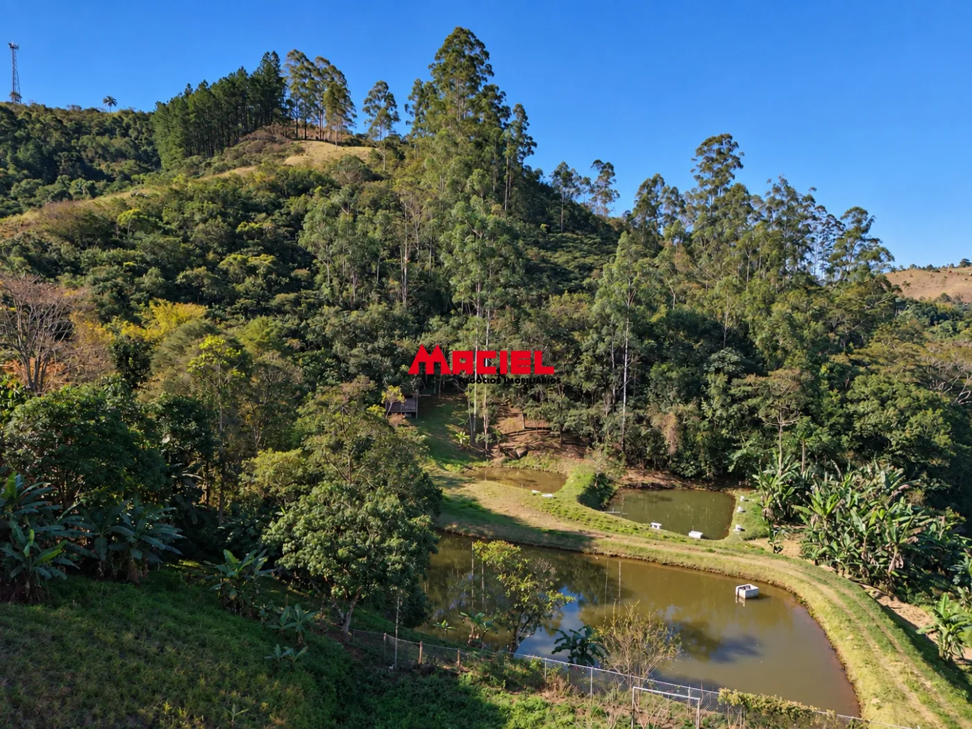 Comprar Rural / Fazenda, S&iacute;tio e Ch&aacute;cara em Monteiro Lobato R$ 950.000,00 - Foto 2