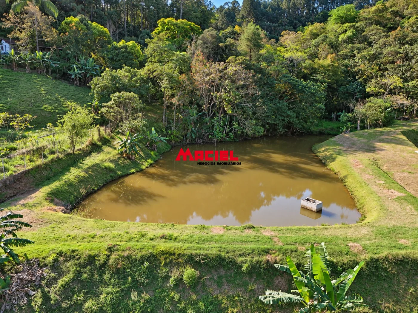 Comprar Rural / Fazenda, S&iacute;tio e Ch&aacute;cara em Monteiro Lobato R$ 950.000,00 - Foto 4