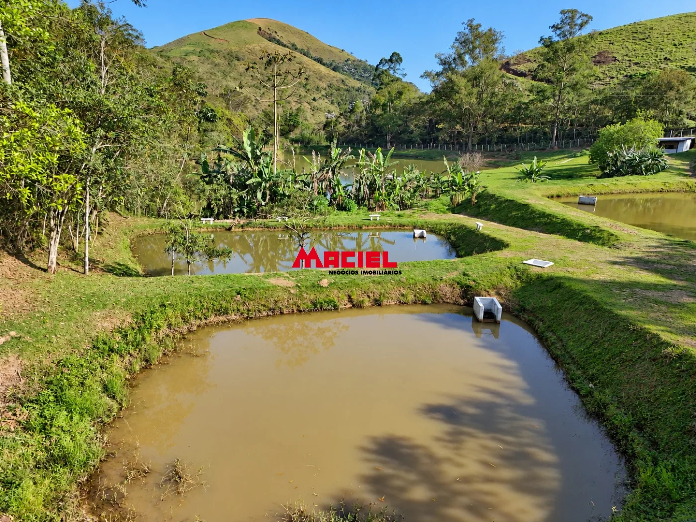 Comprar Rural / Fazenda, S&iacute;tio e Ch&aacute;cara em Monteiro Lobato R$ 950.000,00 - Foto 5