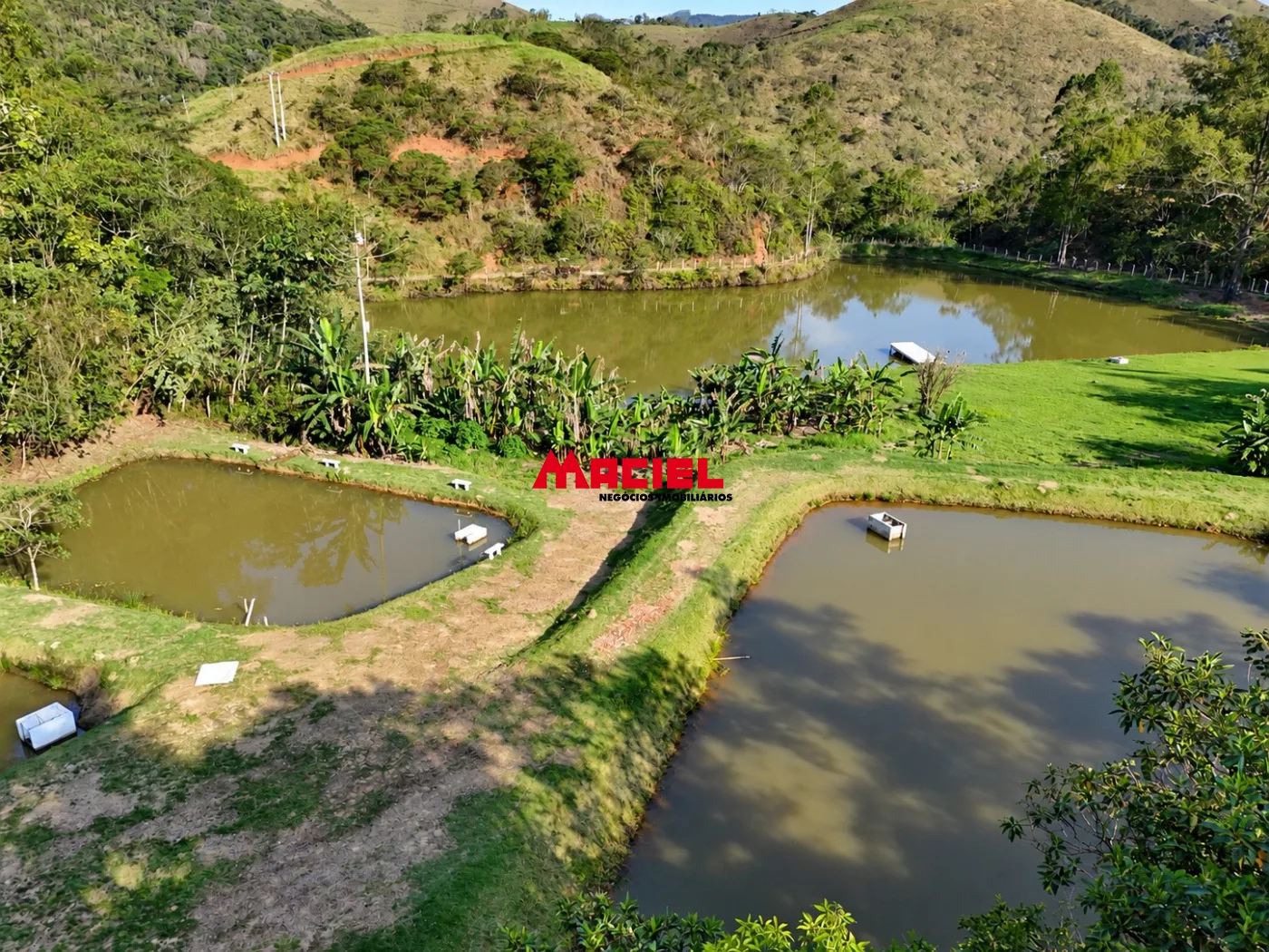 Comprar Rural / Fazenda, S&iacute;tio e Ch&aacute;cara em Monteiro Lobato R$ 950.000,00 - Foto 6