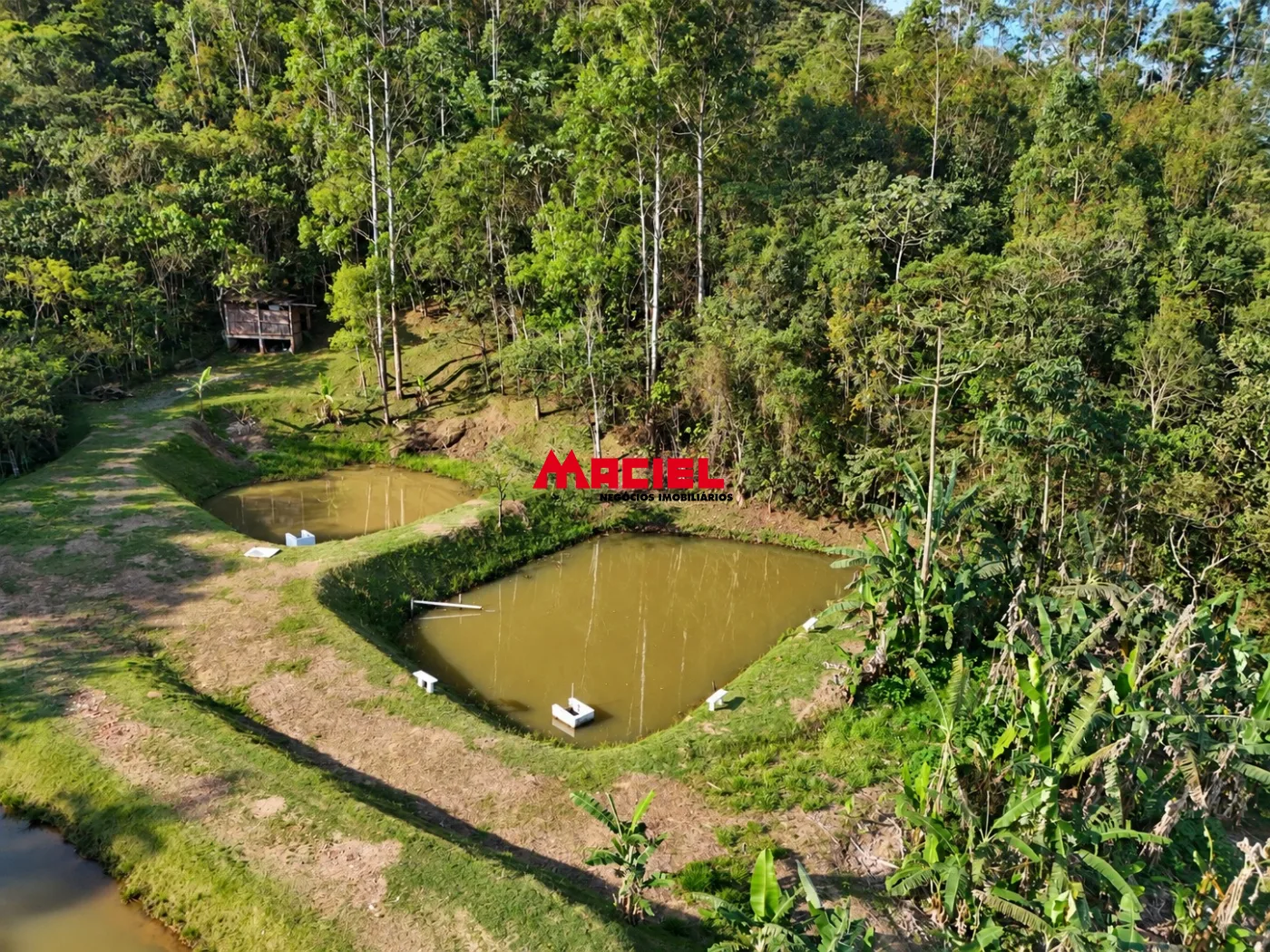 Comprar Rural / Fazenda, S&iacute;tio e Ch&aacute;cara em Monteiro Lobato R$ 950.000,00 - Foto 8