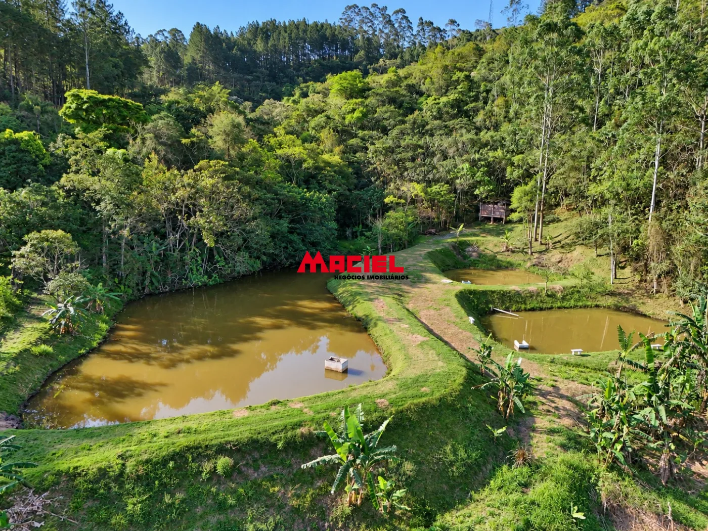 Comprar Rural / Fazenda, S&iacute;tio e Ch&aacute;cara em Monteiro Lobato R$ 950.000,00 - Foto 9