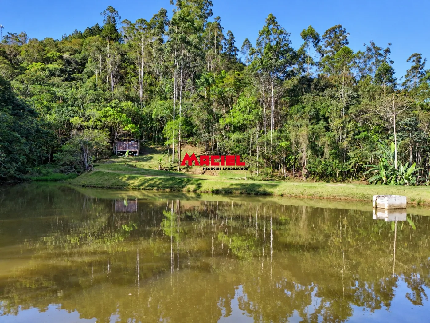 Comprar Rural / Fazenda, S&iacute;tio e Ch&aacute;cara em Monteiro Lobato R$ 950.000,00 - Foto 10
