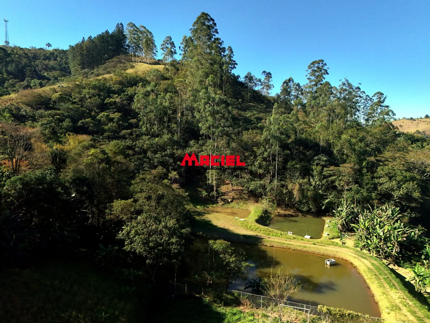 Comprar Rural / Fazenda, S&iacute;tio e Ch&aacute;cara em Monteiro Lobato R$ 950.000,00 - Foto 13