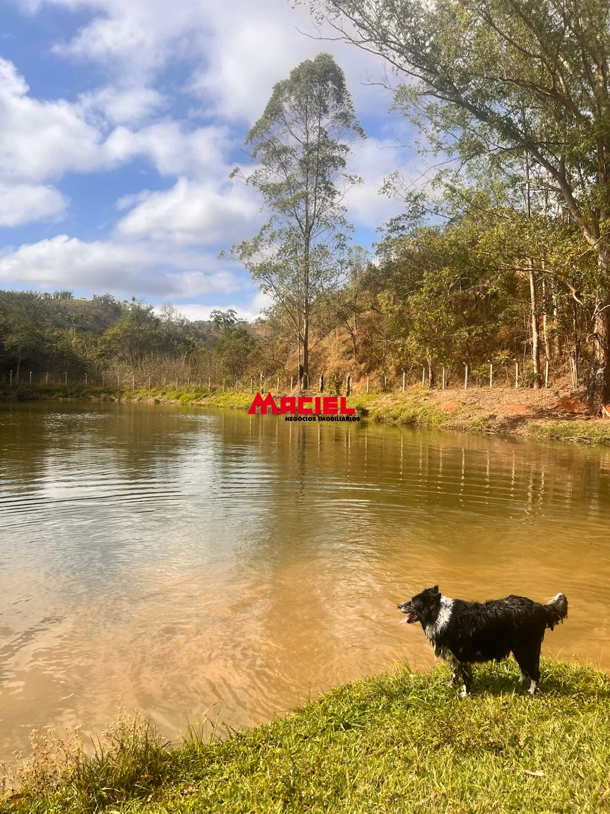 Comprar Rural / Fazenda, S&iacute;tio e Ch&aacute;cara em Monteiro Lobato R$ 950.000,00 - Foto 21