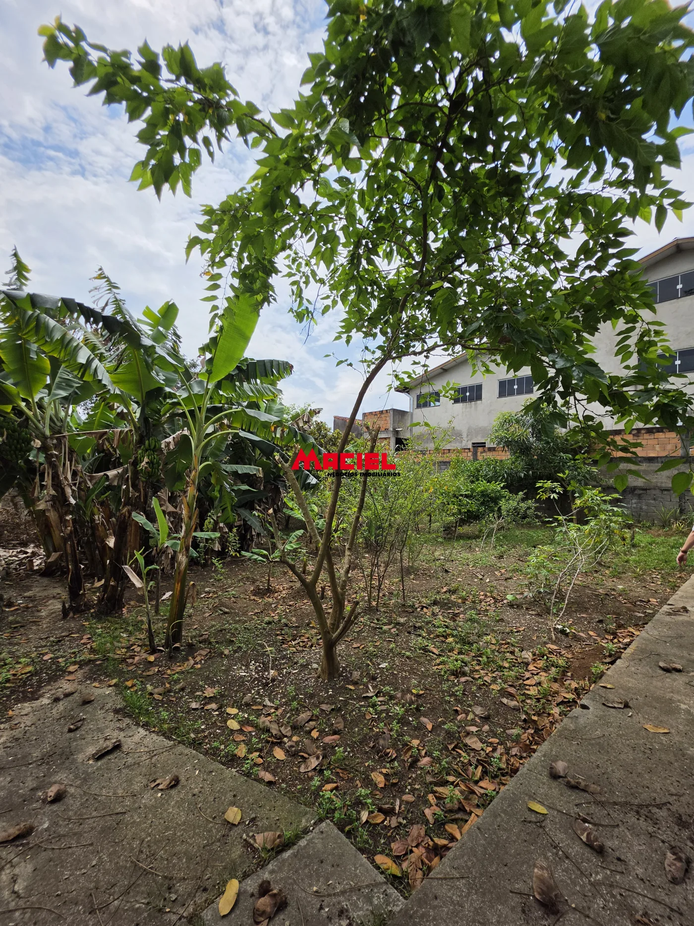Comprar Terreno / Padr&atilde;o em S&atilde;o Jos&eacute; dos Campos R$ 325.000,00 - Foto 11