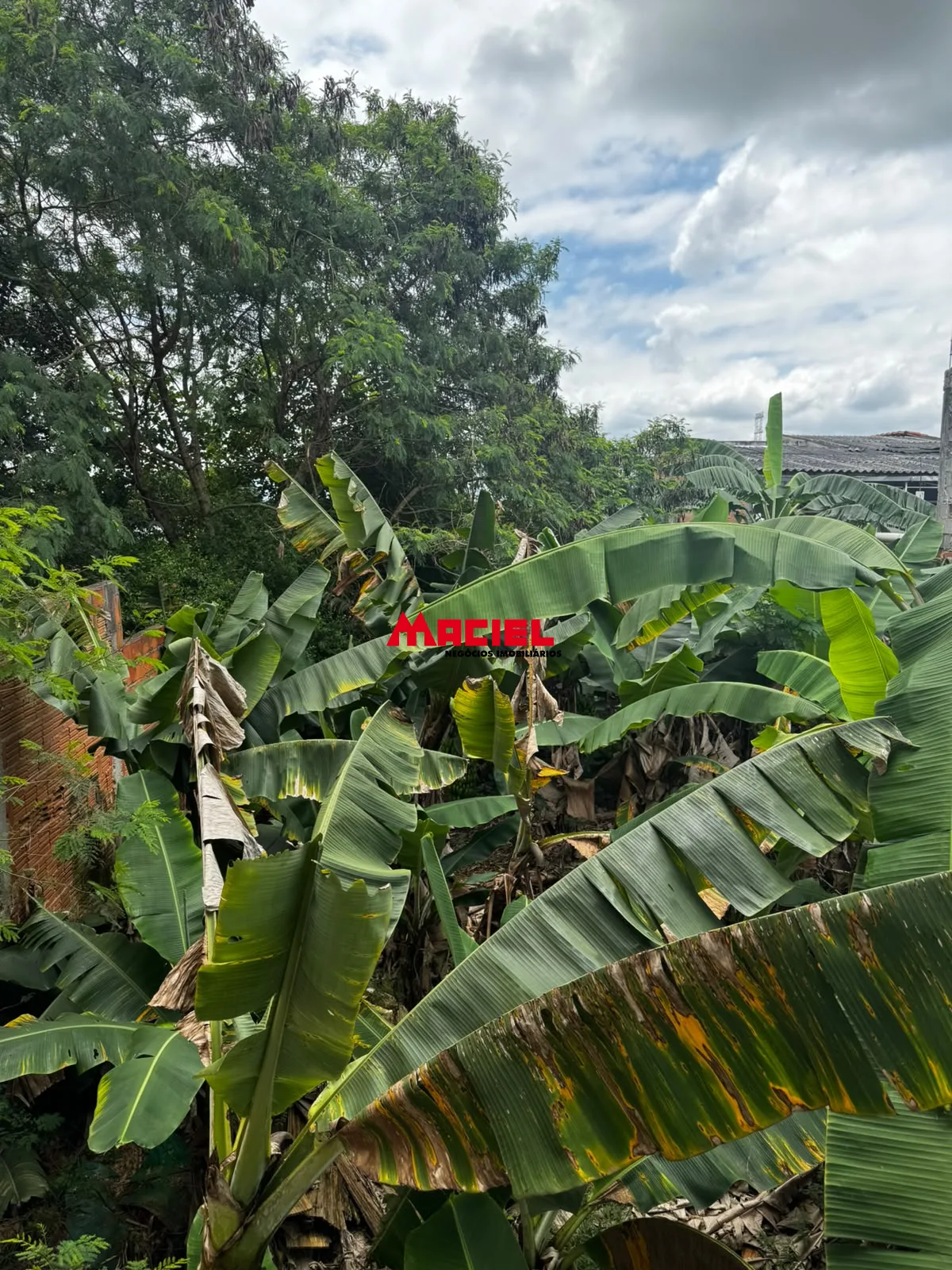Comprar Casa / Padr&atilde;o em S&atilde;o Jos&eacute; dos Campos R$ 479.000,00 - Foto 6