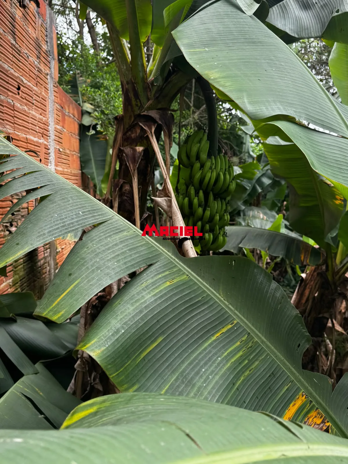 Comprar Casa / Padr&atilde;o em S&atilde;o Jos&eacute; dos Campos R$ 479.000,00 - Foto 14