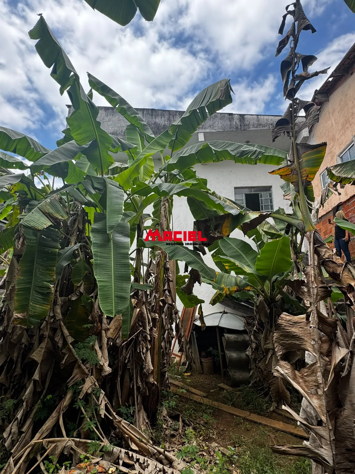 Comprar Casa / Padr&atilde;o em S&atilde;o Jos&eacute; dos Campos R$ 479.000,00 - Foto 15