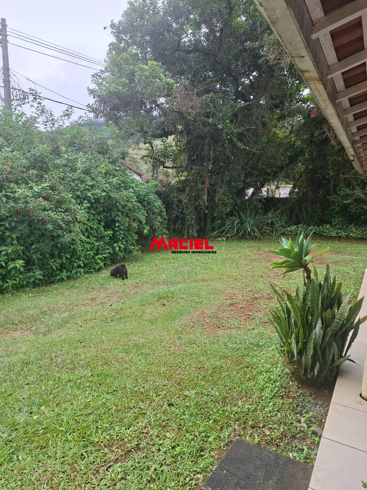 Alugar Rural / Ch&aacute;cara em S&atilde;o Jos&eacute; dos Campos R$ 6.500,00 - Foto 9