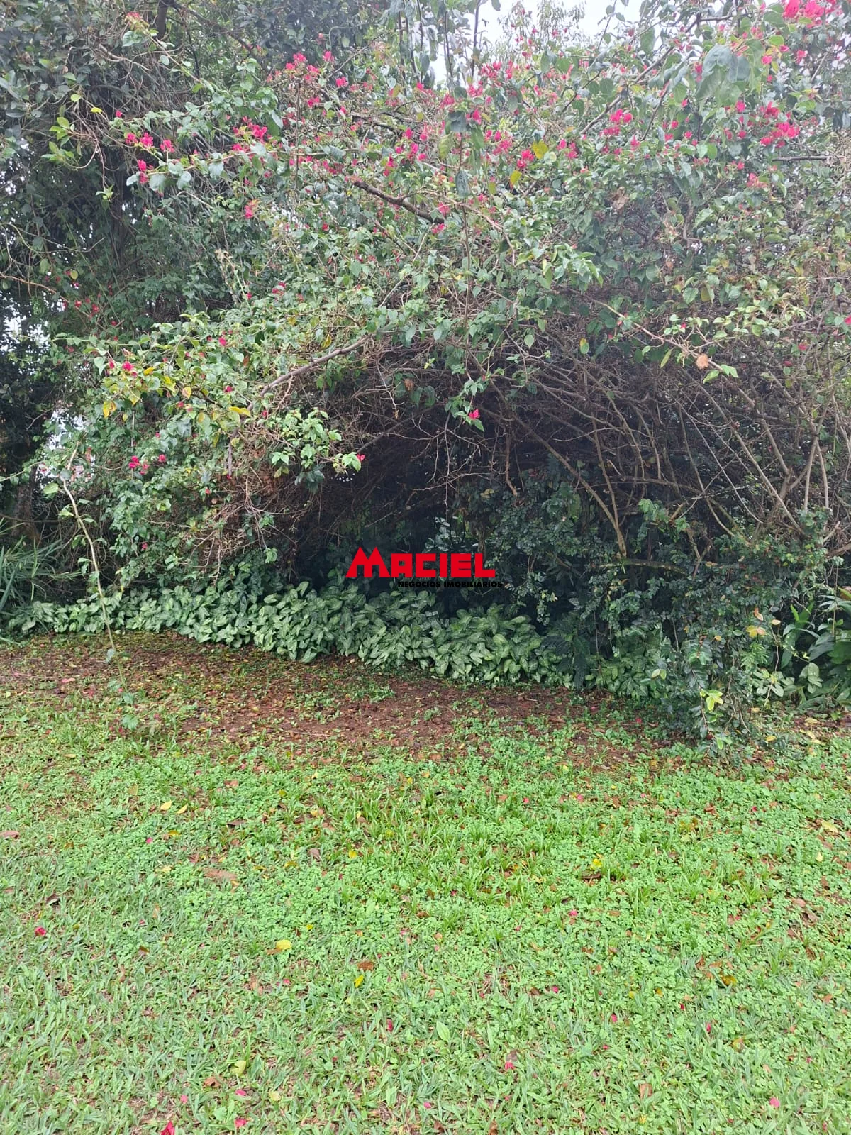Alugar Rural / Ch&aacute;cara em S&atilde;o Jos&eacute; dos Campos R$ 6.500,00 - Foto 11