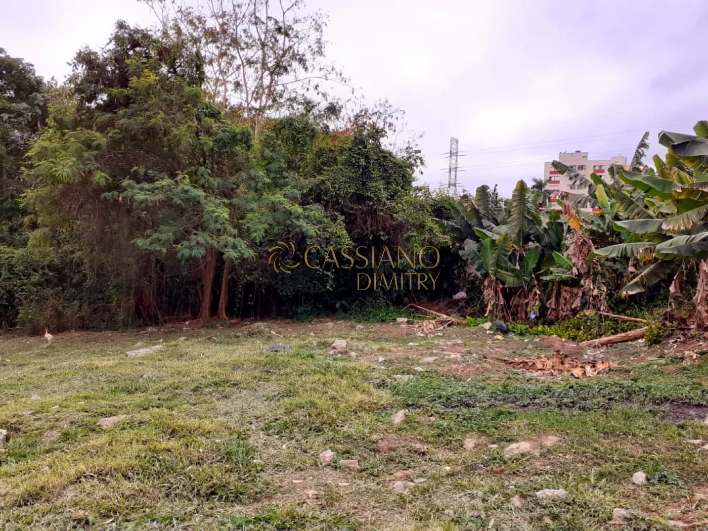 Comprar Terreno / &Aacute;rea em S&atilde;o Jos&eacute; dos Campos R$ 2.200.000,00 - Foto 12