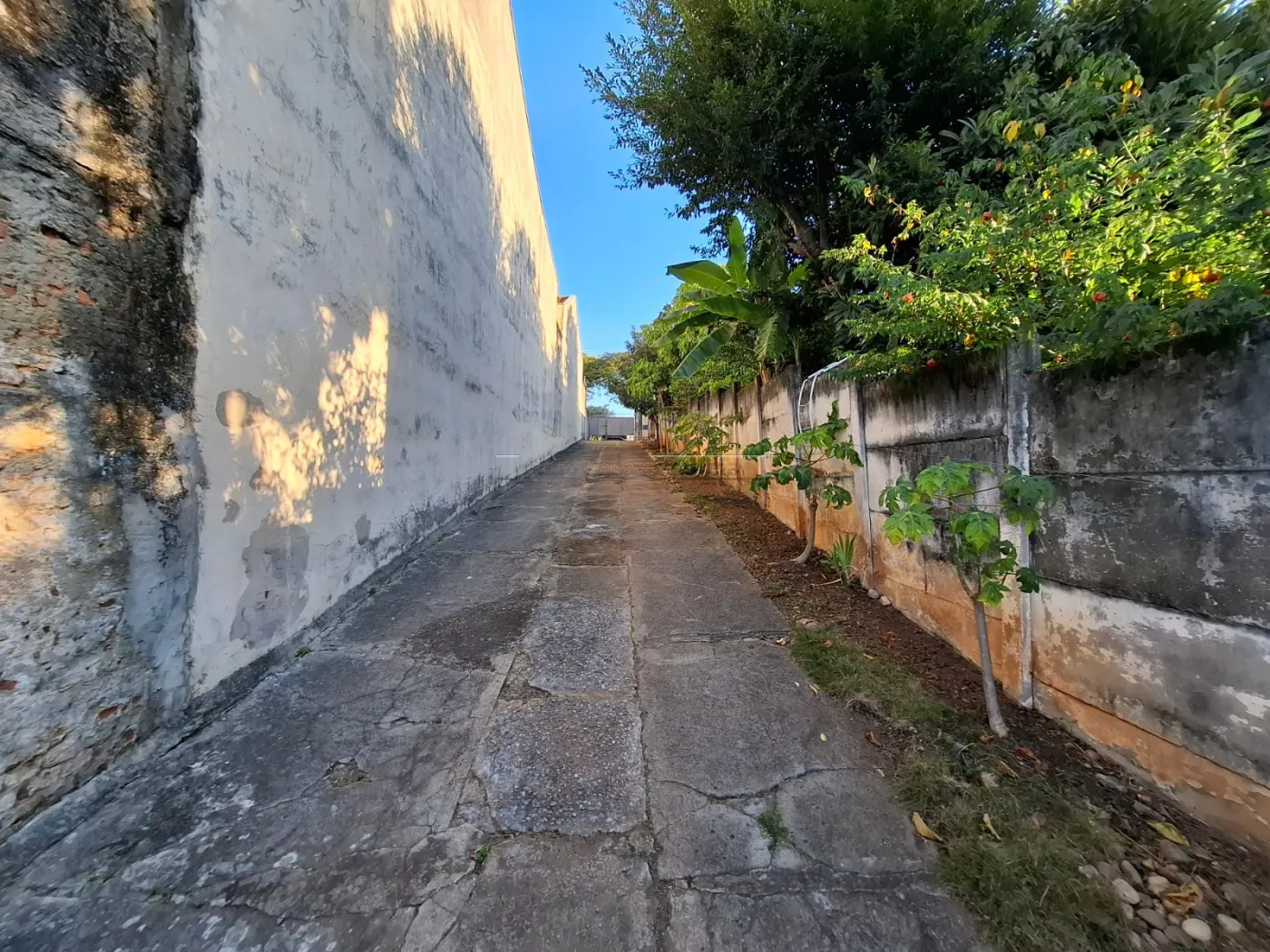 Comprar Casa / Padr&atilde;o em Sorocaba R$ 1.200.000,00 - Foto 15