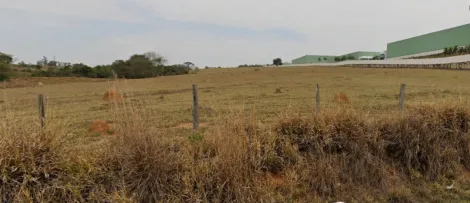 Sorocaba Cajuru do Sul Area Venda R$20.000.000,00  Area do terreno 131000.00m2 