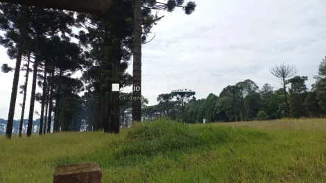 Itapetininga Jardim Bela Vista Area Venda R$5.000.000,00  Area do terreno 106100.00m2 