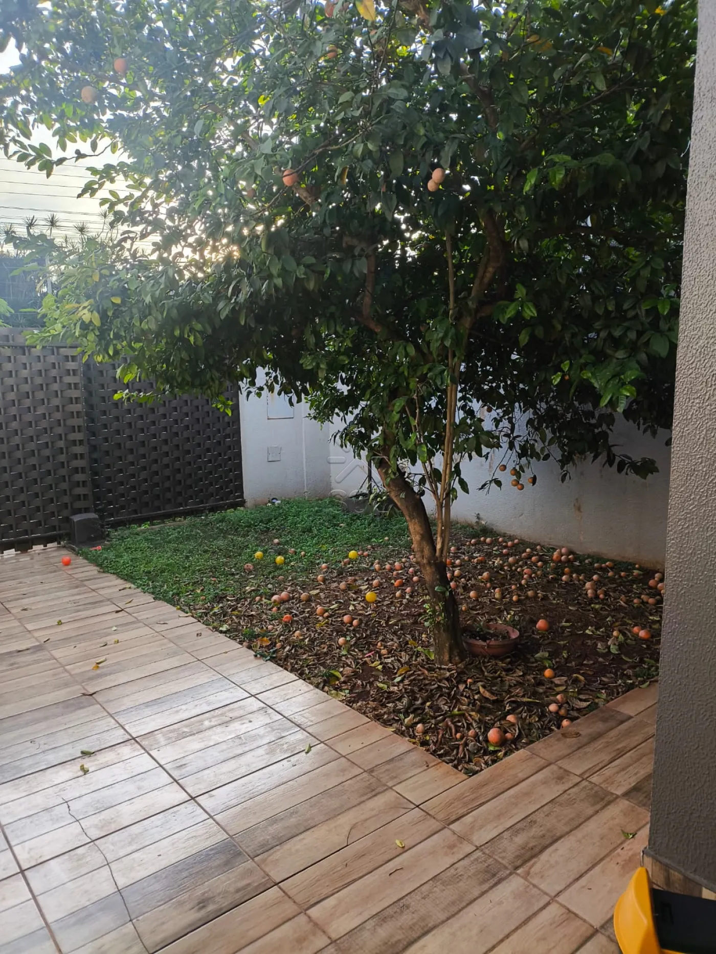 Casa para locação, Três Bandeiras - Foz do Iguaçu/PR
