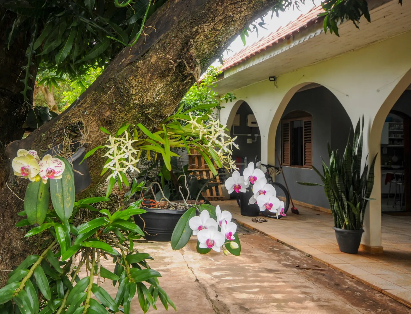 Casa à venda na Vila C em Foz do Iguaçu/PR - 150m² construídos |  Amplo terreno e espaço para aproveitar bons momentos em família!