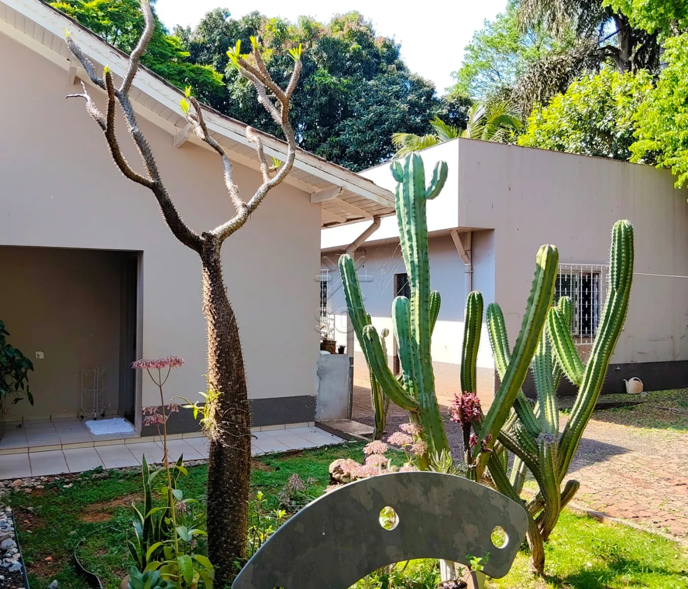 Imóvel com 2 casas à venda na Vila Yolanda em Foz do Iguaçu/PR | Terreno de 1.072m²