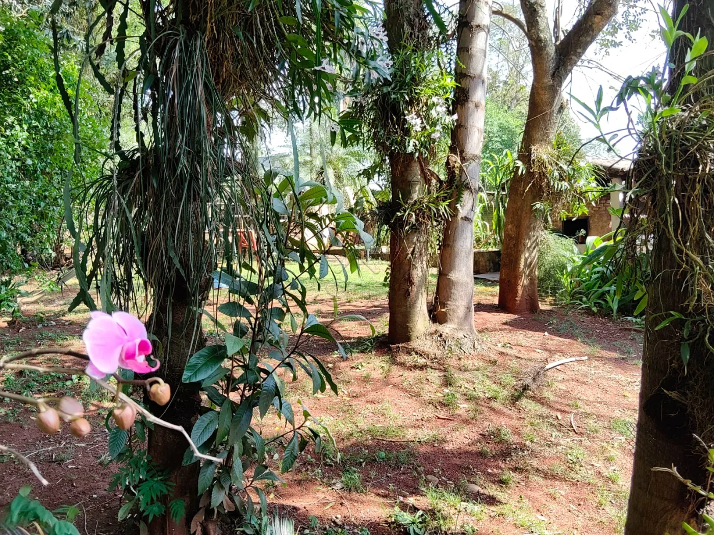 Imóvel com 2 casas à venda na Vila Yolanda em Foz do Iguaçu/PR | Terreno de 1.072m²