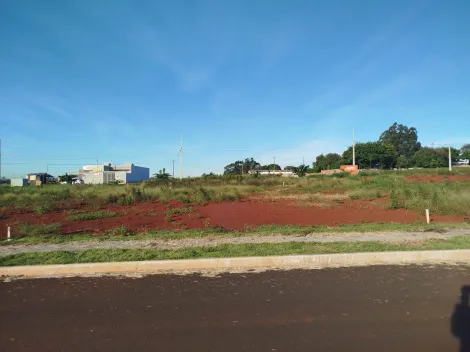 Terreno à venda no Jardim Dona Brida em Foz do Iguaçu/PR - 253m² em bairro novo e tranquilo