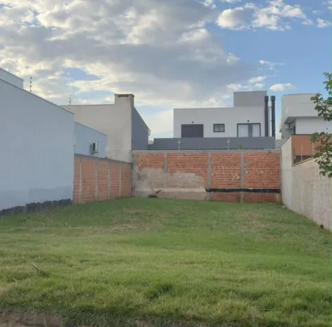 Terreno à venda no Jardim Dom Miguel em Foz do Iguaçu/PR | 250m²