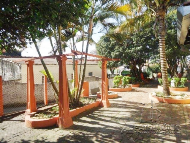 Foto 7