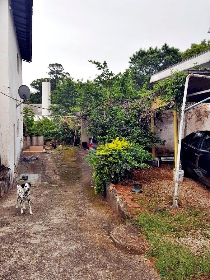 Foto 10