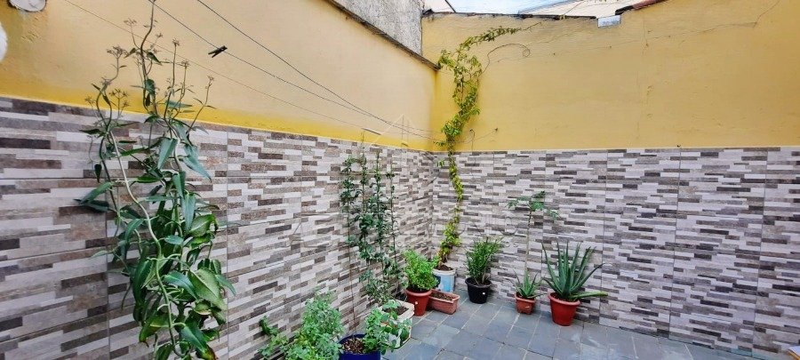 Foto 7