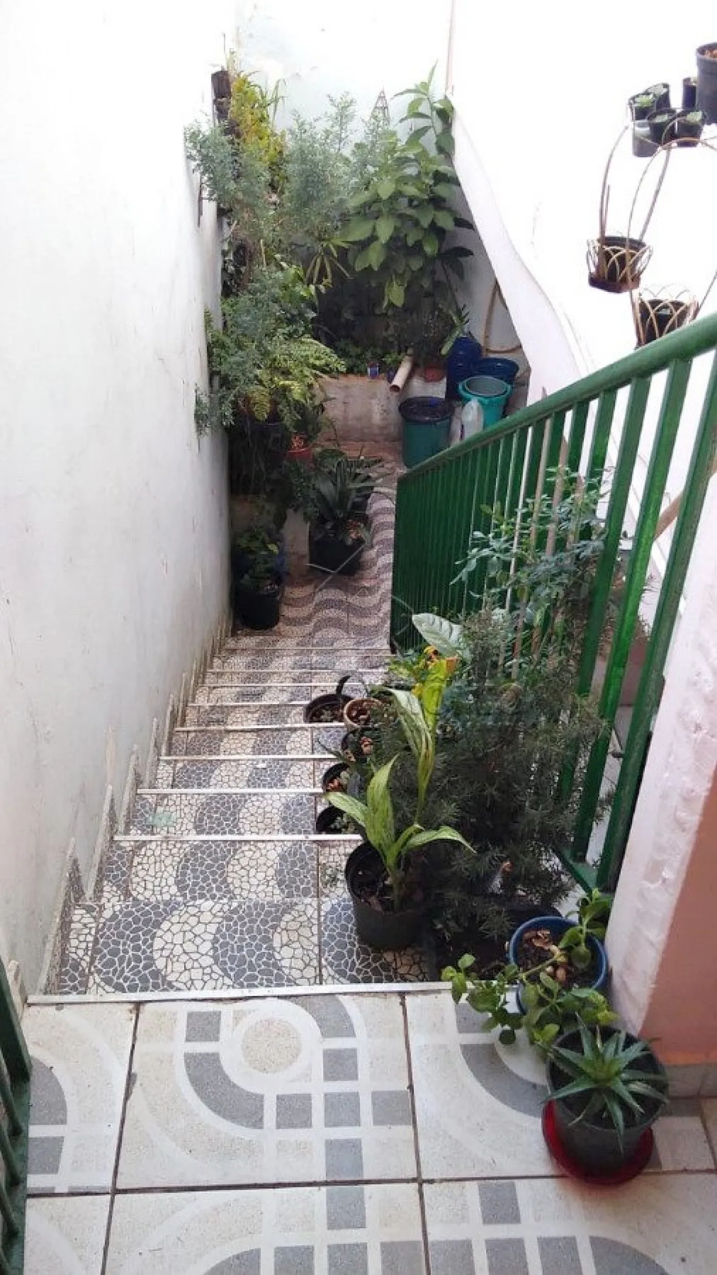 Foto 15