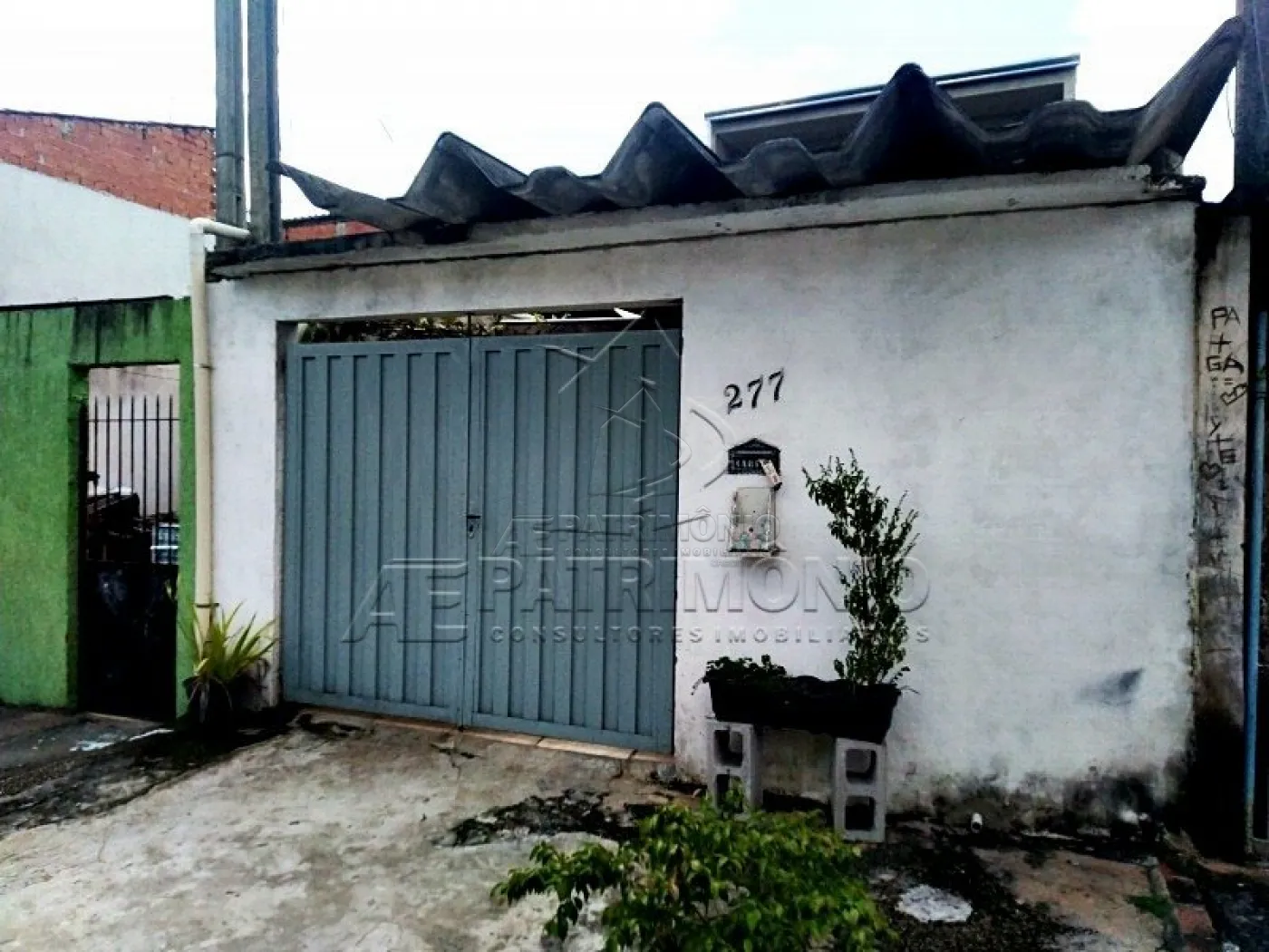 Foto 1