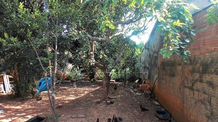 Foto 11