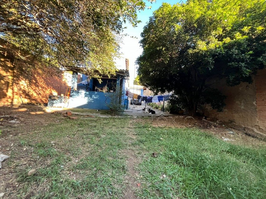 Foto 10
