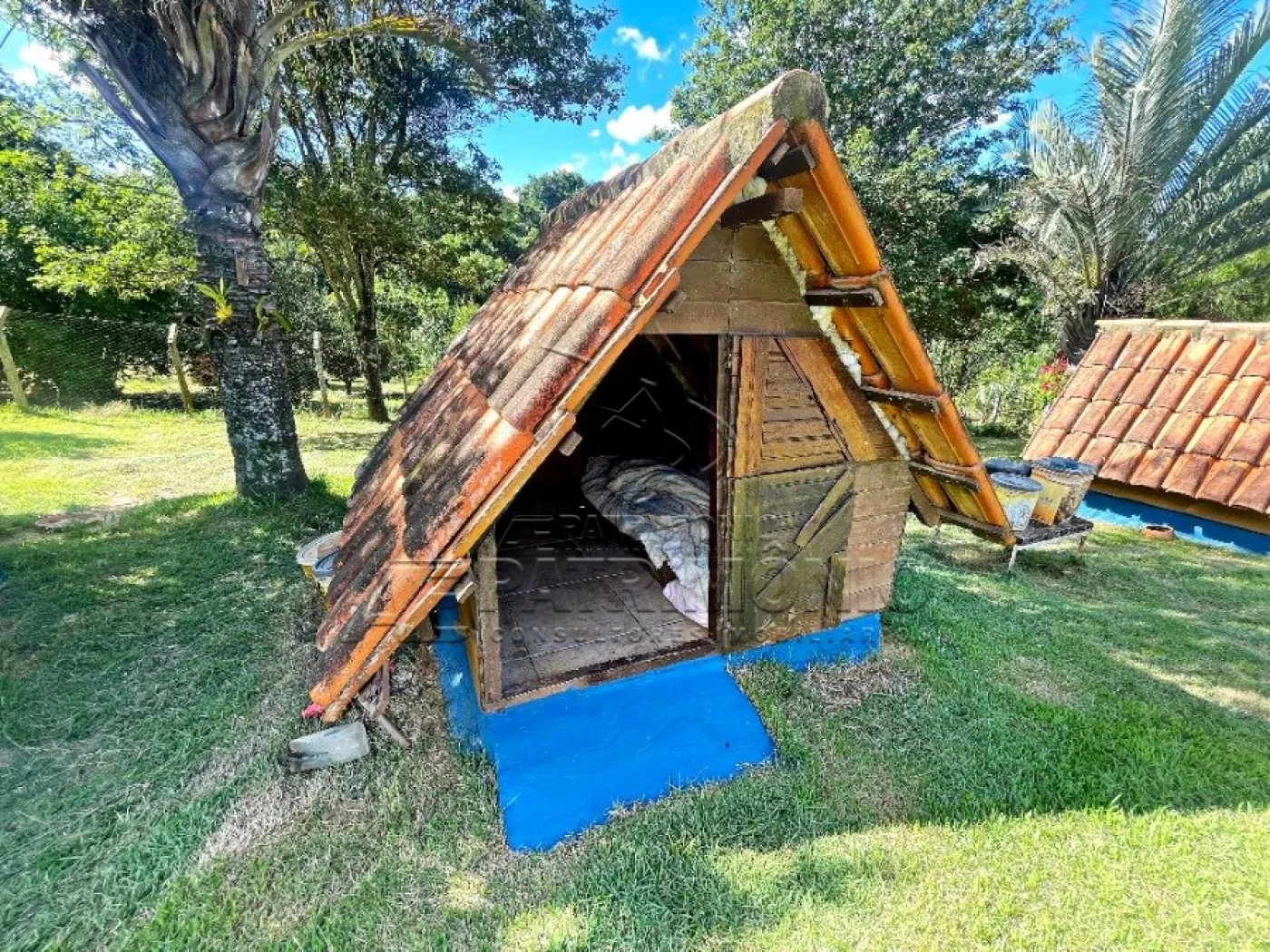 Foto 13