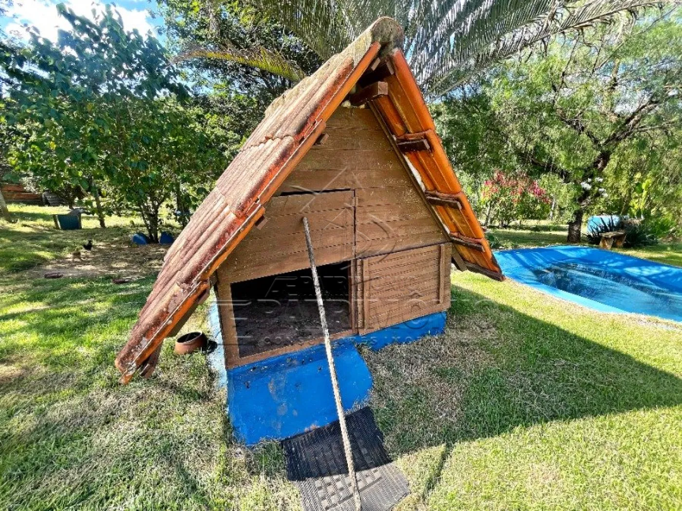 Foto 14