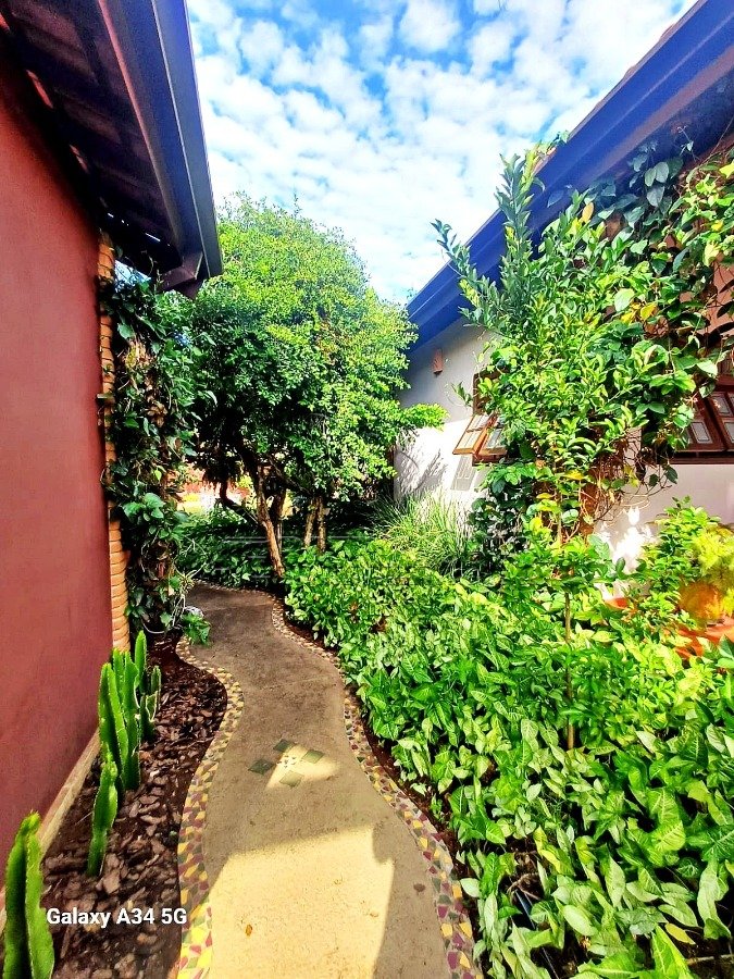 Foto 7