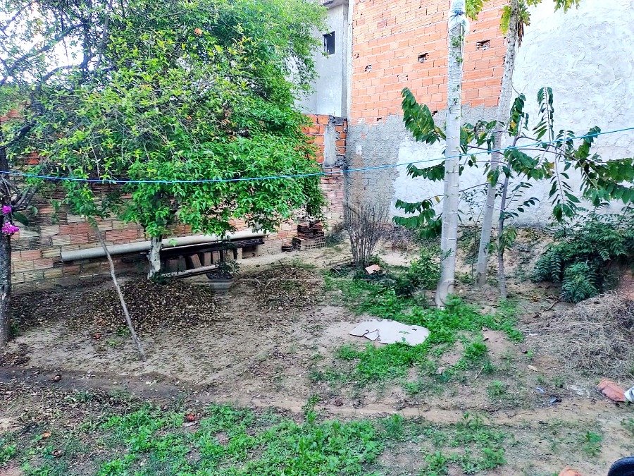 Foto 15