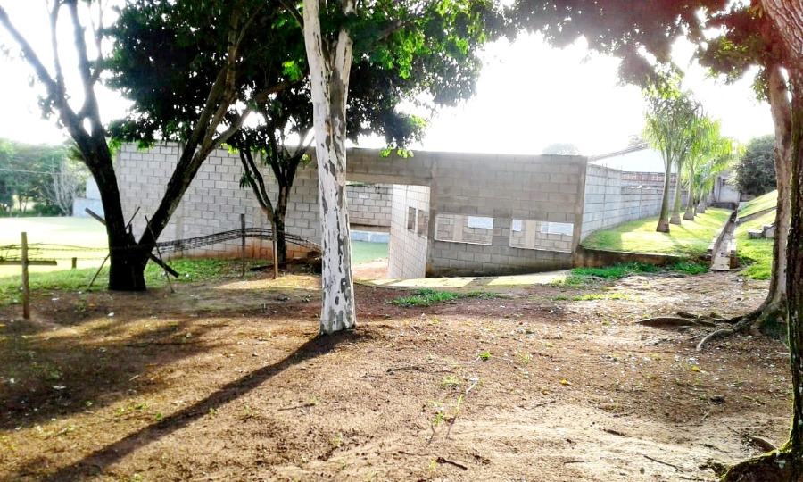 Foto 15