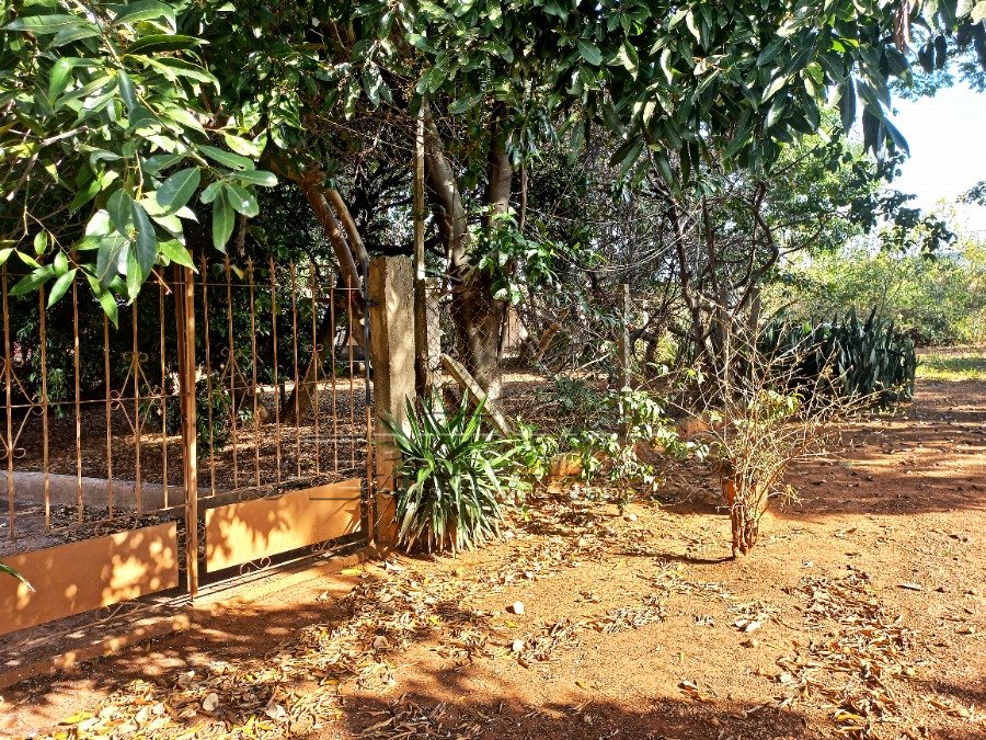 Foto 11