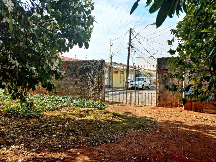 Foto 15