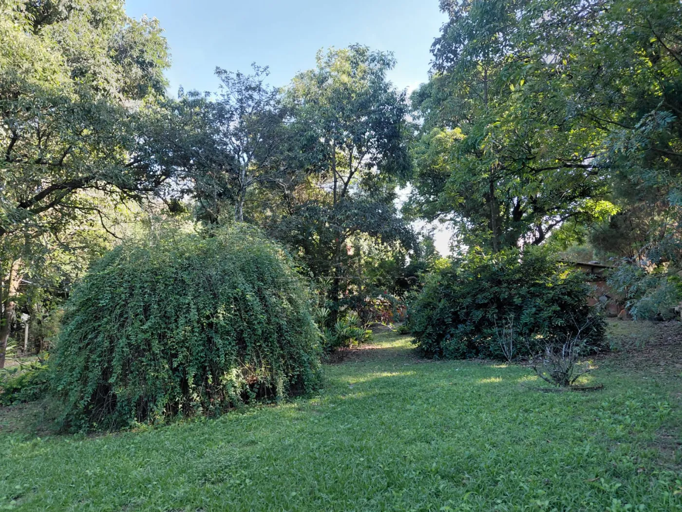 Foto 12