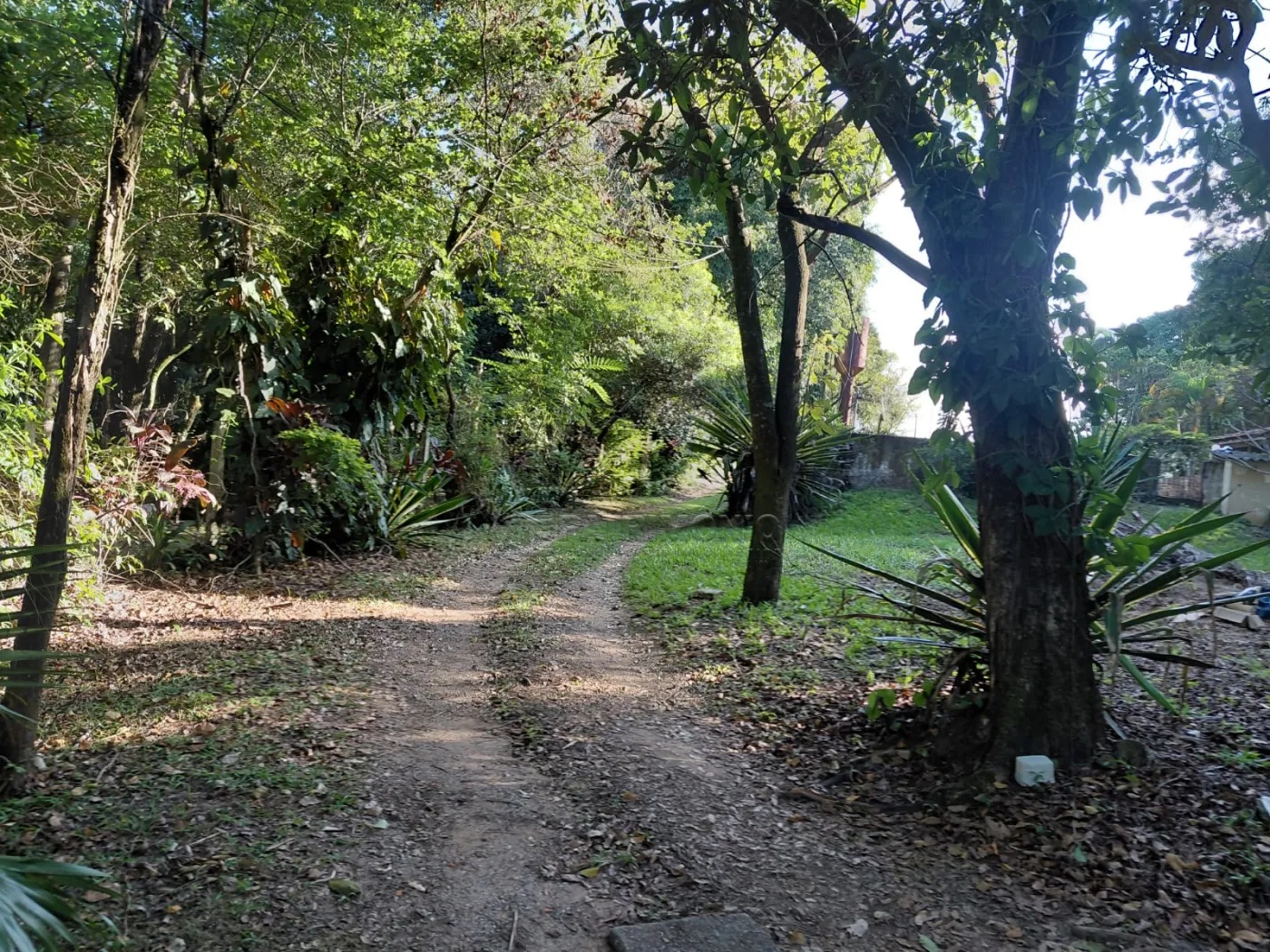 Foto 14