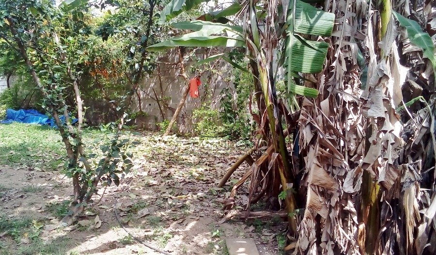 Foto 6