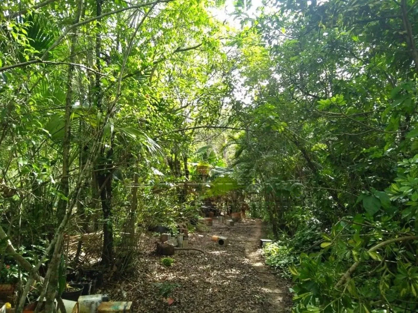 Foto 6
