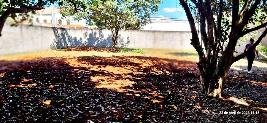 Foto 14