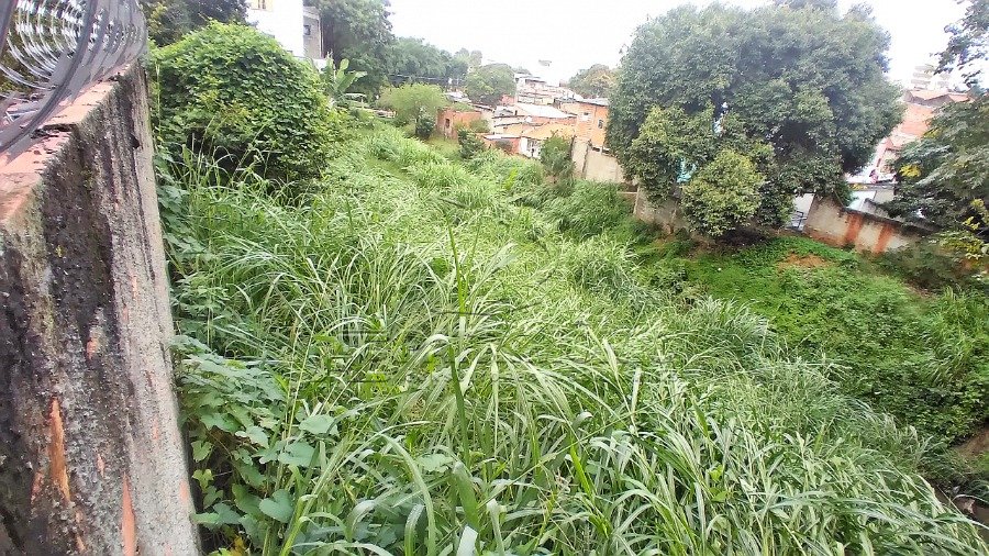 Foto 12
