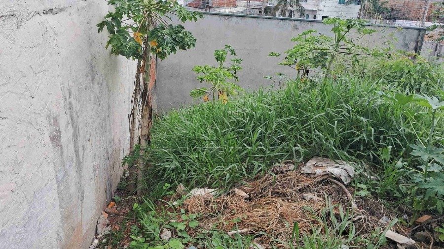 Foto 14