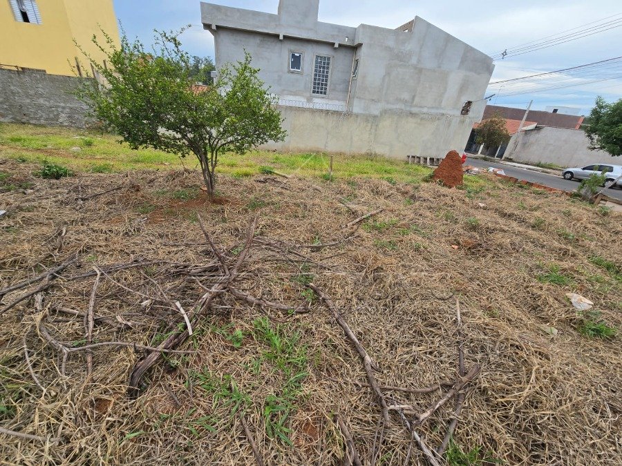 Foto 12