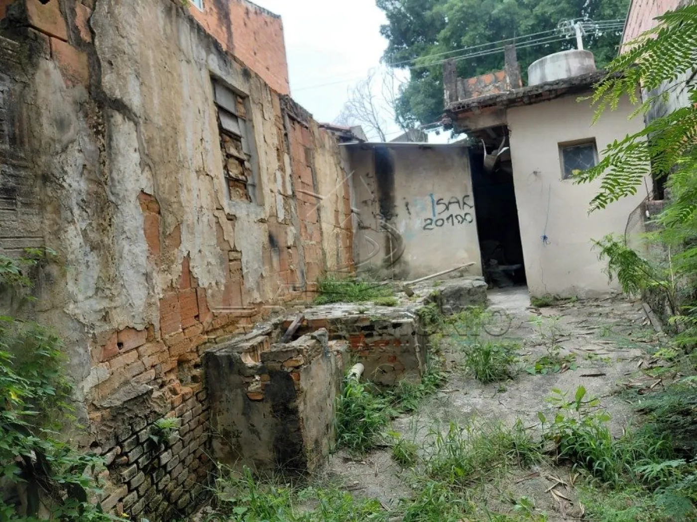Foto 14