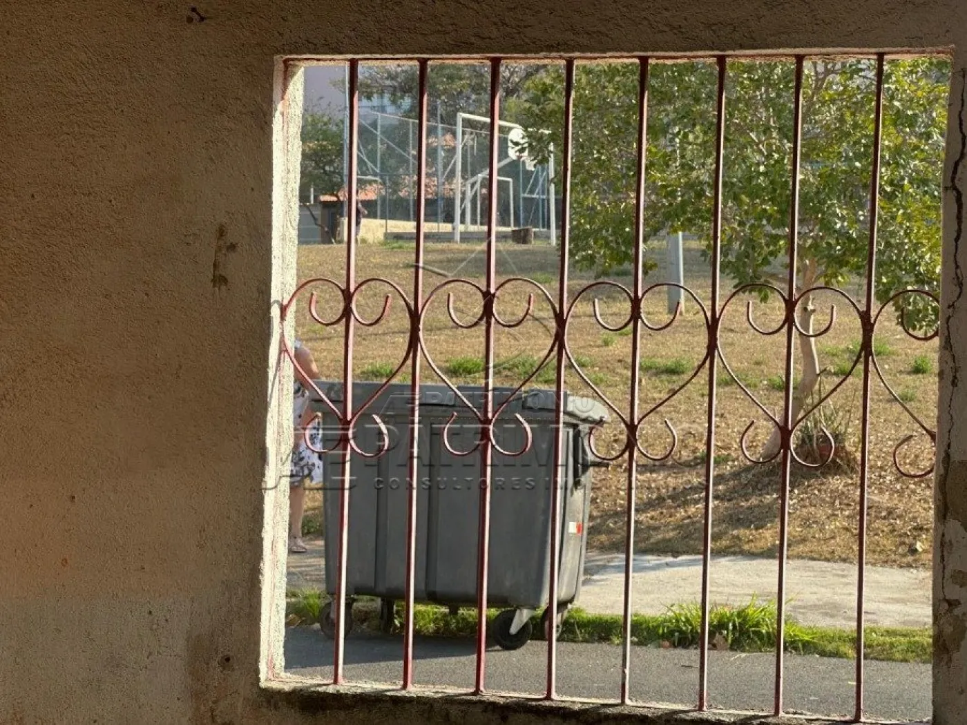 Foto 6